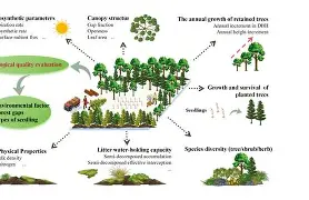 米兰体育在线登录-转折点纽卡斯尔手感冰凉；意大利杯赛前攻防权衡；更衣室稳定；团队化学反应显著